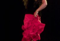 Flamenco-2