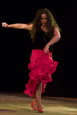 Flamenco-2