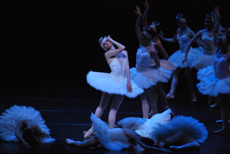 Nueva versión de "El Lago de los Cisnes", interpretada por el Ballet Nacional del SODRE. Foto: Fabián Centurión. Gentileza Archivo Nacional de la Imagen SODRE.