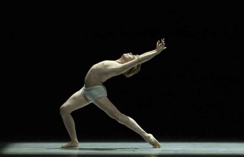 Nueva versión de “La Muerte del Cisne” por Vladimir Malakhov de Berliner Ballet.