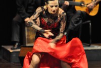 ¡Viva Flamenco! hará un fragmento de su programa "Pasiones en Rojo". Foto gentileza ¡Viva Flamenco!