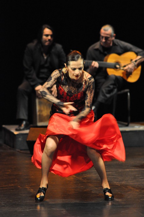 ¡Viva Flamenco! hará un fragmento de su programa "Pasiones en Rojo". Foto gentileza ¡Viva Flamenco!