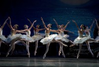 El ABT presentó "El lago de los cisnes" en el Metropolitan de Nueva York. Foto: Gene Schiavone. Gentileza ABT.C