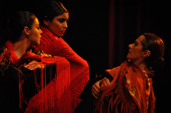 En el “XIV Festival Nacional de Jerez 2013” Leticia Cosío presenta a la compañía ¡Viva Flamenco! con su programa, “Mujeres Moras@. Foto gentileza Viva Flamenco.