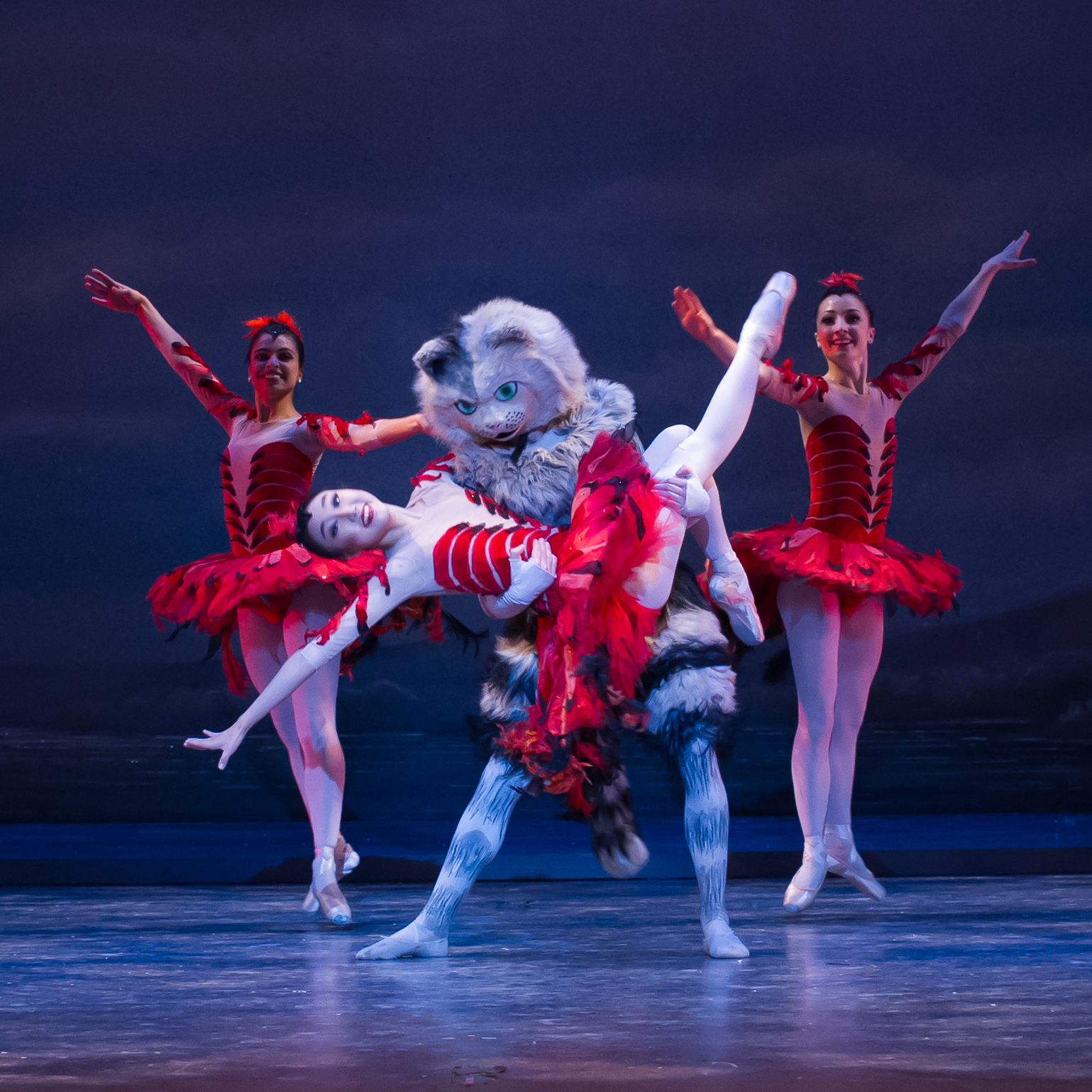 Durante diciembre, el Washington Ballet presenta en el Warner Theatre su versión de "Cascanueces". Foto: Paul Zambrana. Gentileza WB.