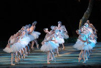"El lago de los cisnes" se presenta con nueva versión de la Compañía Nacional de Danza de México en el Bosque de Chapultepec. Foto gentileza de  CND.