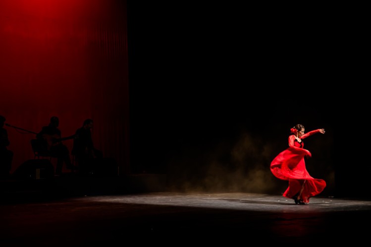 La compañía presentará “Compases a mi Aire”, un espectáculo que incursiona en cada uno de los palos flamencos. Foto gentileza ¡Viva Flamenco!