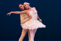 01_Swan Lake