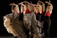 Larreal, está formada por bailarines del Real Conservatorio Profesional de Danza  Mariemma.