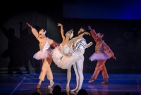 Todos los domingos, la Fundación Konex presenta en su horario habitual de las 11 de la mañana el ballet en versión para niños “El lago de los cisnes y las Princesas Encantadas”. Foto: Carlos Villamayor.     Gentileza FAyC.