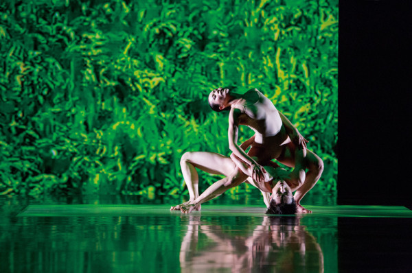 Cloud Gate Dance Theatre of Taiwan presenta "Rice", pieza creada en 2013. Foto gentileza JFKC.