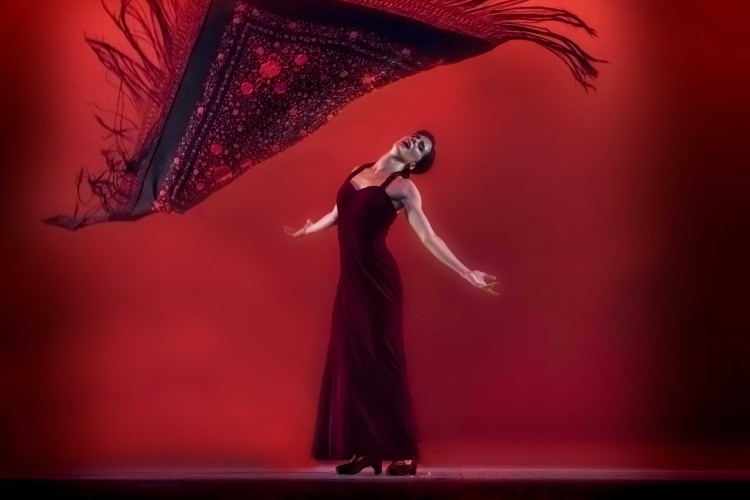 Para festejar su primer lustro, el sábado 8, la Compañía Irene Rodríguez llevó a escena "Amaranto", obra que incluye varios palos del flamenco. Foto: Alfredo Cannatello. Gentileza Comp. Irene Rodríguez.