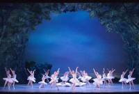 El Ballet Estable del Teatro Colón presenta cinco funciones de "El lago de los cisnes", con coreografía de Mario Galizzi. Foto gentileza TC.
