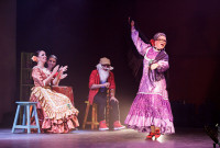 La obra de la creadora Lourdes Lecona se estrenó en abril de este año con la intención de acercar a los niños al mundo de la danza. Foto gentileza Caña y Candela Pura.