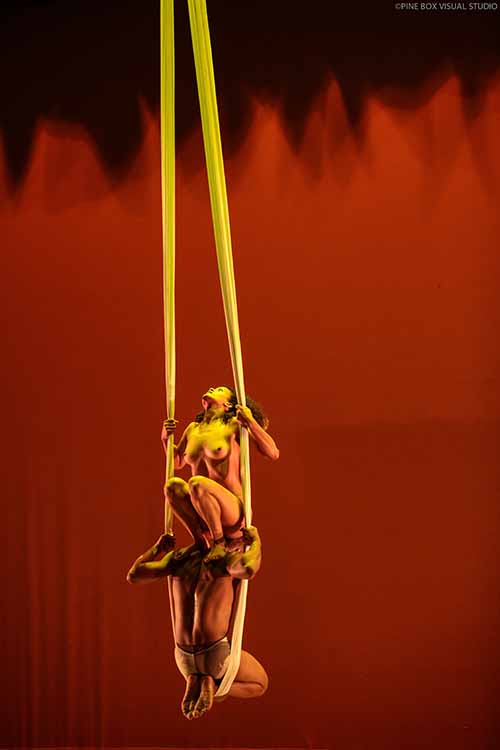 Danza aérea en “Defilló”, obra que rinde homenaje al pintor dominicano, Fernando Peña Defilló. Foto: Caroline Becker. Gentileza MB.