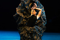 La Compañía Irene Rodríguez, el 15 de mayo en el Terrace Theater hará uan demostración de puro flamenco. Foto: Christopher Jones. Gentileza JFKC.