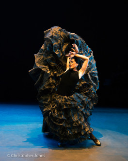 La Compañía Irene Rodríguez, el 15 de mayo en el Terrace Theater hará uan demostración de puro flamenco. Foto: Christopher Jones. Gentileza JFKC.