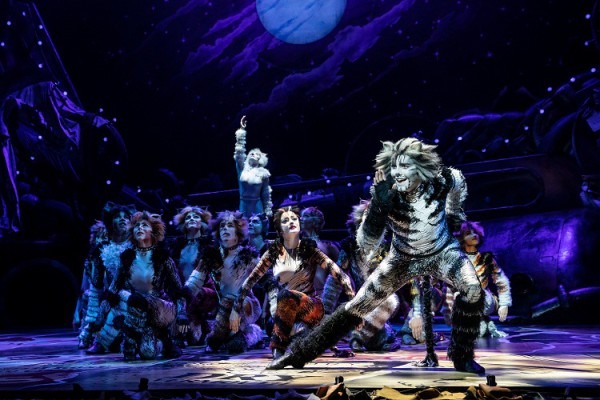 "Cats", uno de los clàsicos del género musical subió a escena en el Kennedy Center de DC, Dan Hoy protagoniza a Munkustrap. Foto: Matthew Murphy. Gentileza JFKC.