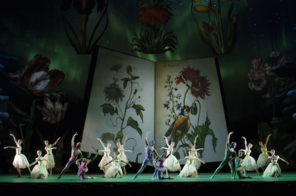 Un gran libro en escena va contando en imágenes la trama del “Cascanueces” que el Atlanta Ballet estrenó en Washington en la semana del Día de Acción de Gracias. Foto: Gene Schiavonne. Gentileza JFKC. 