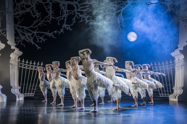 Cisnes masculinos reeditan la trama de “Swan Lake” en esta versión de Matthew Bourne y su compañía New Adventures en Washington DC. Foto: Johan Persson. Gentileza JFKC.