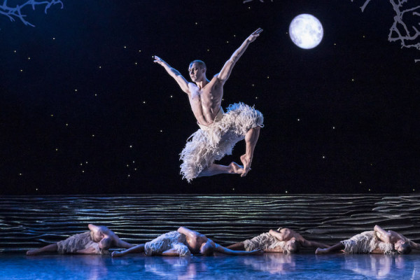 Max Westwell, de New Adventuers, es el cisne y el extranjero en “Swan Lake” que se presentó del 21 al 26 de enero en el Kennedy Center. Foto: Johan Persson. Gentileza JFKC. 