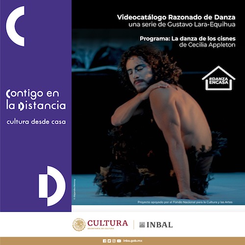 “La danza de los cisnes”, cuento contemporáneo multimedia, está inspirado en el libro “Mujeres que corren con lobos”, de Clarisa Pinkola. Gentileza INBAL. 