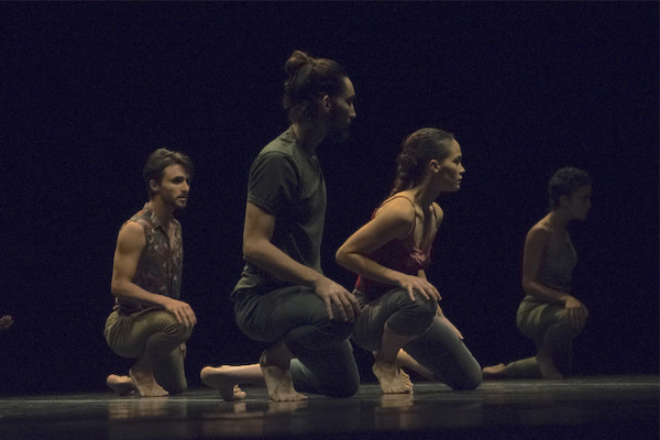 Malpaso Dance Company presentó en la sala García Lorca “Tabula Rasa” del coreógrafo israelí Ohad Naharin Foto: Foto gentileza Yuris Norido.