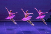 "ElJardín Encantado" con el Ballet Nacional de la Ópera de Eslovenia, "El Corsario". © Patricio Valverde.