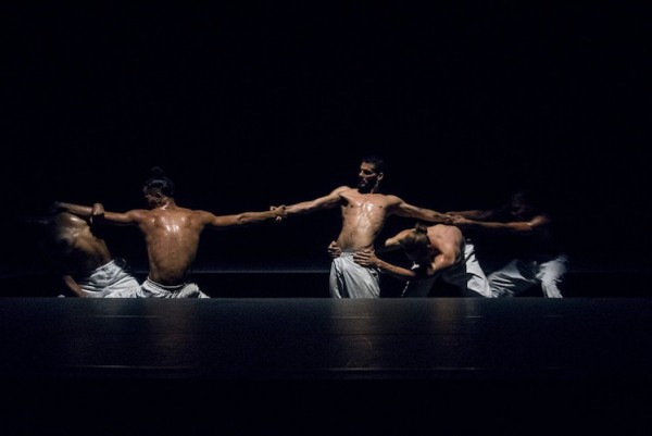 ”Brutal”, una obra que logra borrar la distancia entre espectador e intérprete, convoca a seis bailarines de la agrupación. Fotos: Yuris Nórido. Gentileza Kenny Ortigas Guerrero.