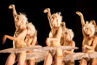 Gauthier Dance en “Le chant du cygne: Le lac", de Marie Chouinard | Fotografía cortesía de Gauthier Dance.