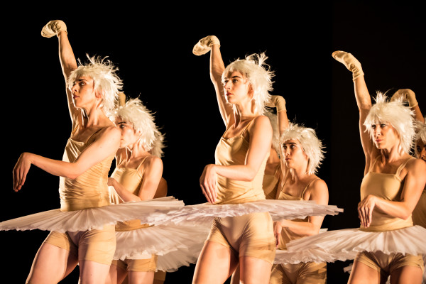 Gauthier Dance en “Le chant du cygne: Le lac", de Marie Chouinard | Fotografía cortesía de Gauthier Dance.