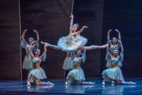 Marianela Núñez y cuerpo de baile del Ballet Estable del Teatro Colón en el segundo acto de “Don Quijote”. Foto: Carlos Villamayor. Gentileza TC.
