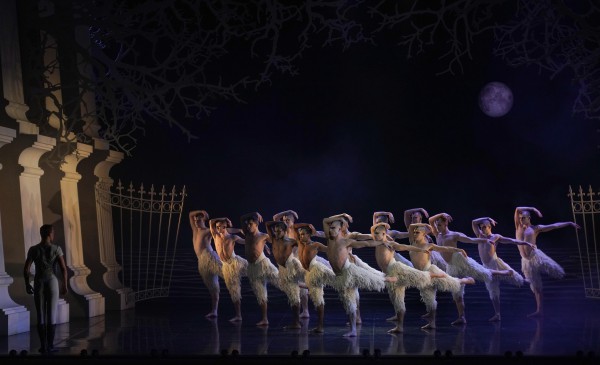 El Teatro Real de Madrid acogió "El lago de los cisnes: la nueva generación", de Matthew Bourne. Foto: Javier del Real | Teatro Real. 