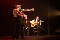 "Ay, amor, amor!", dirigido por José Galvañ, un espectáculo rompe con los códigos visuales y escénicos más tradicionales. Foto gentileza Red de Teatros Flamencos de Artesred.