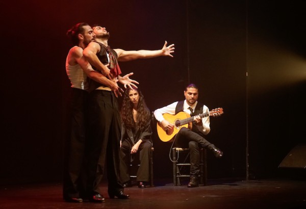 "Ay, amor, amor!", dirigido por José Galvañ, un espectáculo rompe con los códigos visuales y escénicos más tradicionales. Foto gentileza Red de Teatros Flamencos de Artesred.